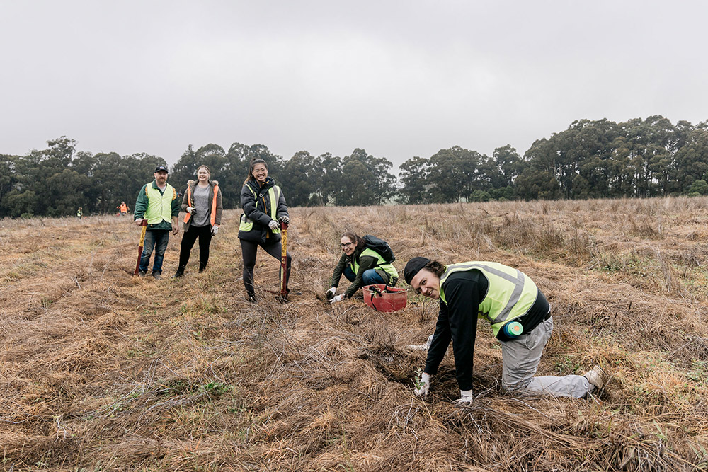 Greenfleet Tree Planting Day.