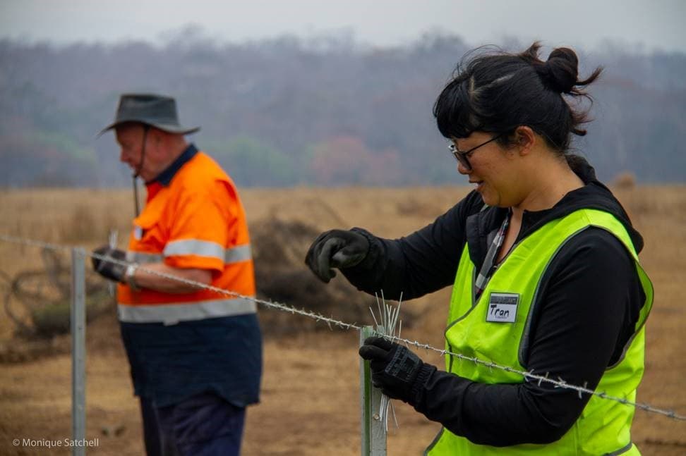 Image of two people repairing fences