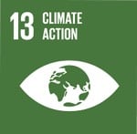 Icon for United Nations Sustainable Development Goal for climate action